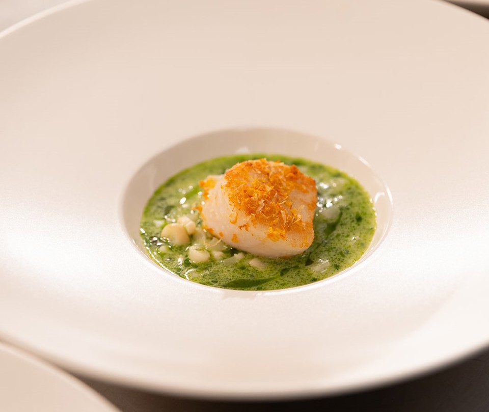 4U0a6202 Websize Copy