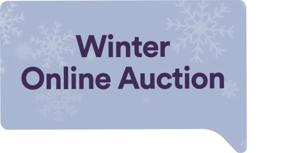 Winter Online Auction