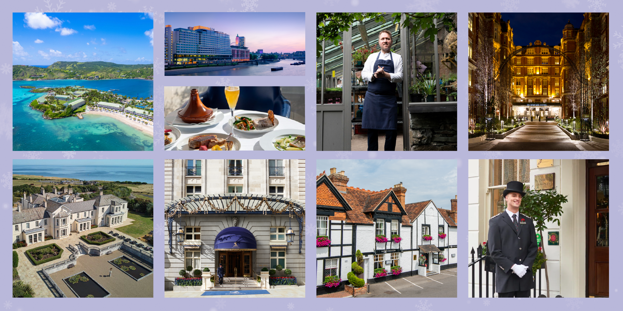 Winter Online Auction