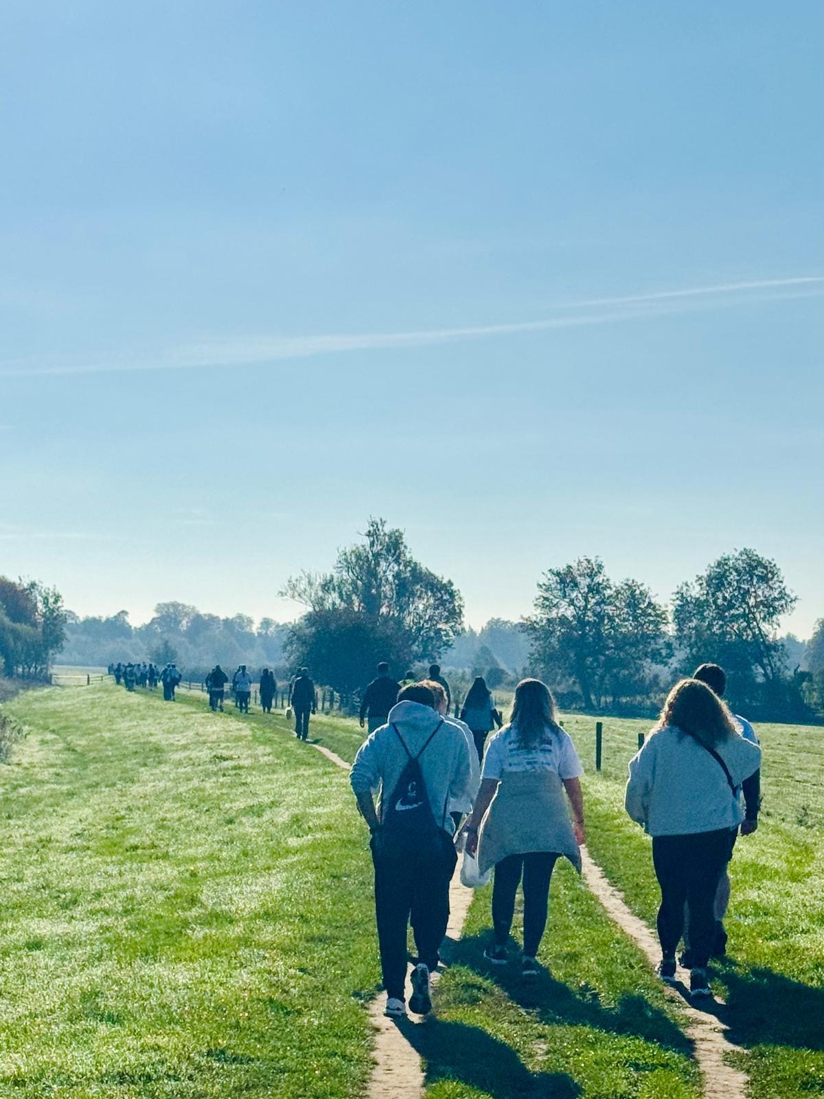 D2e6dd38 9485 47E8 B9d1 6E7425f0c6a0