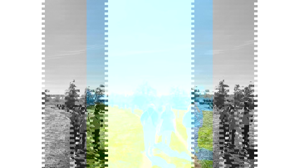 D2e6dd38 9485 47E8 B9d1 6E7425f0c6a0