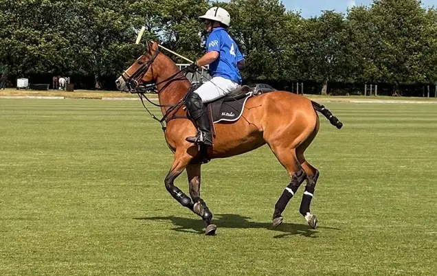 Polo Day 2025.