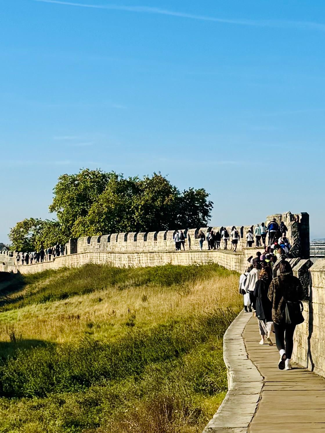 F77cf622 E374 48B0 A6f3 5B3522d10369