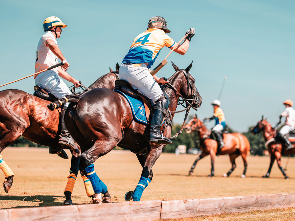 20240602144049 O7a6151