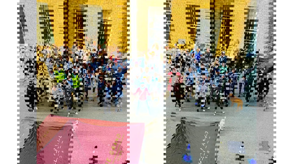 5Bd13ee7 489C 48E4 A27e B13d6c41488c